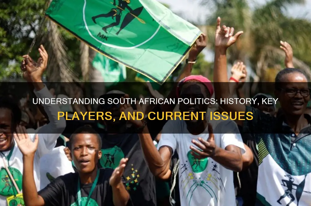 what is south african politics