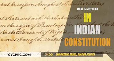 The Sovereign, the Indian Constitution, and You