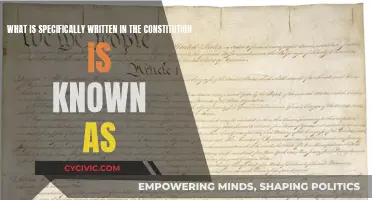 Constitution's Specifics: What's Written and Why
