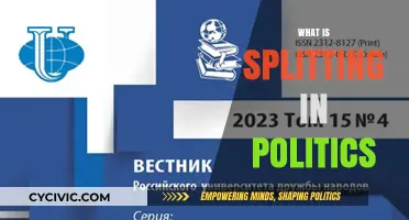 Understanding Political Splitting: Causes, Consequences, and Impact on Governance