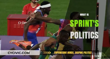 Understanding Sprint's Political Stance: Policies, Influence, and Corporate Responsibility