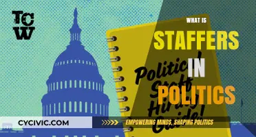 Understanding Political Staffers: Roles, Influence, and Impact in Governance
