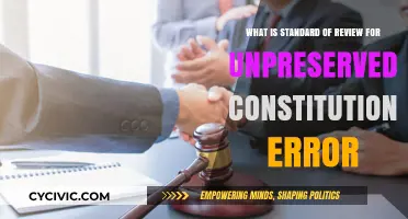 Understanding the Standard of Review for Unpreserved Constitutional Errors