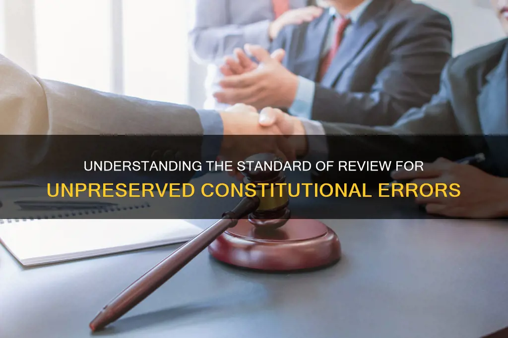 what is standard of review for unpreserved constitutional error