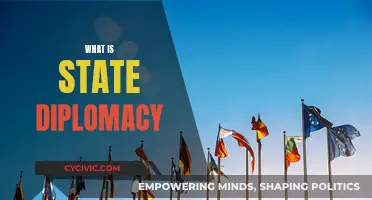 State Diplomacy: Understanding Its Role and Relevance