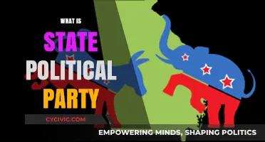 Understanding State Political Parties: Roles, Functions, and Influence Explained