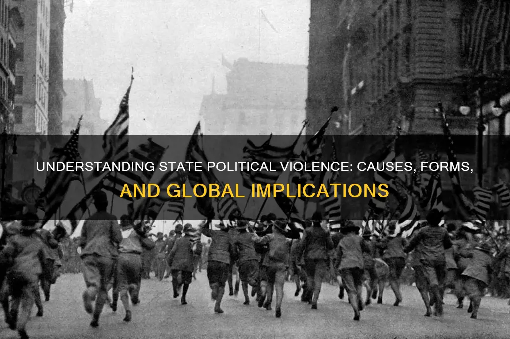 what is state political violence