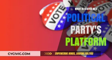 Understanding a Political Party's Platform: Core Principles and Policies Explained