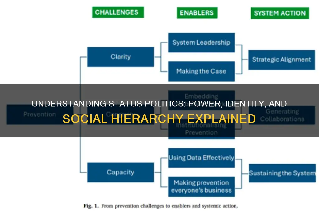 what is status politics