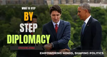 Mastering Step-by-Step Diplomacy: A Guide to Success