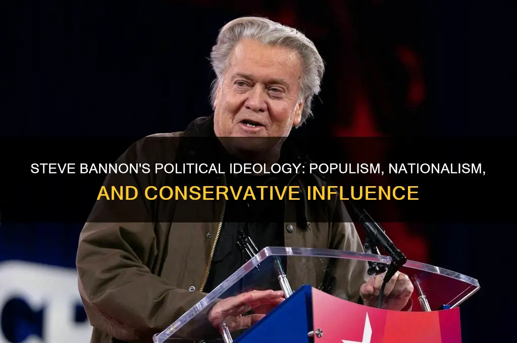 what is steve bannion politics