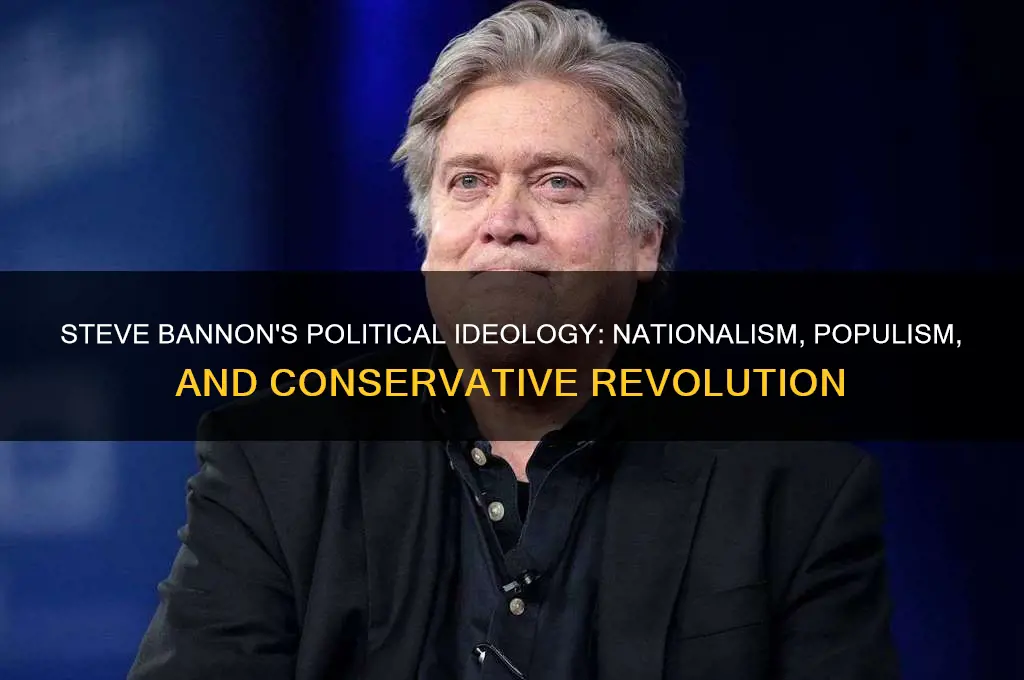 what is steve bannons politics