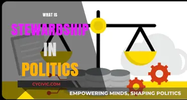 Understanding Political Stewardship: Responsibilities, Ethics, and Public Service Explained