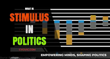 Understanding Political Stimulus: Strategies, Impact, and Public Influence Explained
