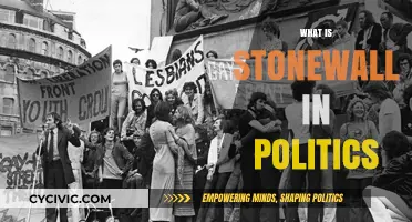 Understanding Stonewall's Impact on LGBTQ+ Political Movements and Rights