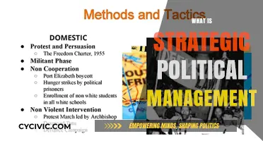Mastering Strategic Political Management: Tactics, Influence, and Power Dynamics