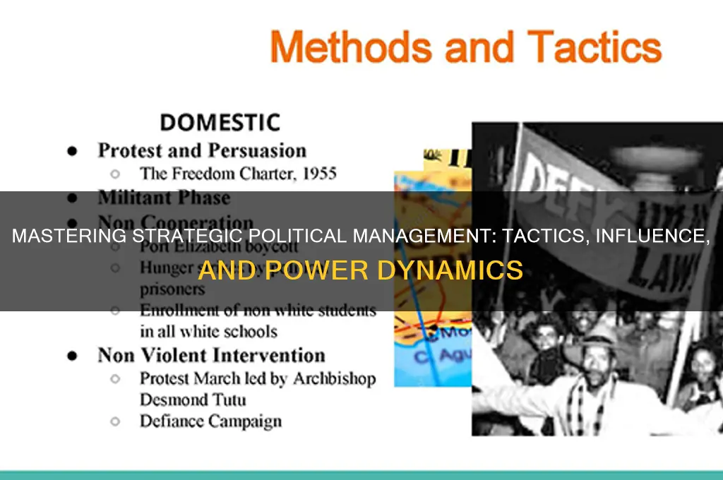 what is strategic political management