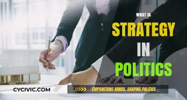 Understanding Political Strategy: Tactics, Power, and Decision-Making in Governance