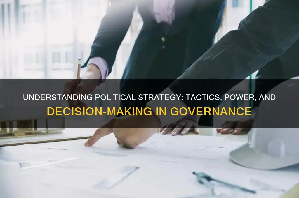 what is strategy in politics