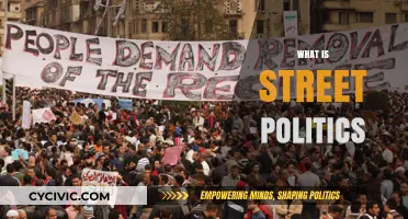 Understanding Street Politics: Grassroots Activism and Public Protest Explained