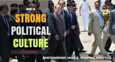 Understanding Strong Political Culture: Foundations, Impact, and Global Examples