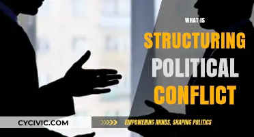 Understanding Structuring Political Conflict: Strategies, Impacts, and Resolution Methods
