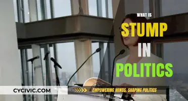 Understanding Political Stumps: Origins, Impact, and Modern Usage Explained