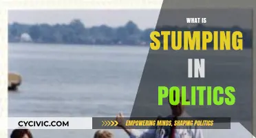 Understanding Stumping: Political Campaigning Strategies and Their Impact