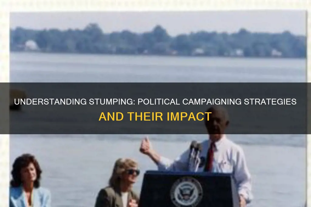 what is stumping in politics