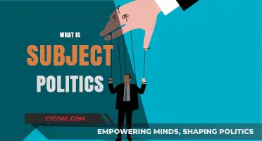 Understanding Subject Politics: Power, Identity, and Social Dynamics Explained