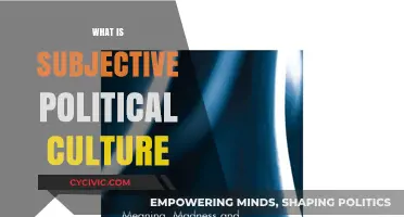Understanding Subjective Political Culture: Beliefs, Values, and Individual Perspectives