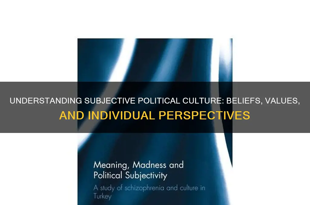 what is subjective political culture