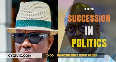 Understanding Political Succession: Power Transitions and Leadership Dynamics Explained