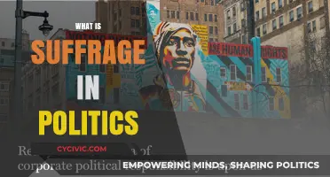 Understanding Suffrage: The Political Right to Vote Explained