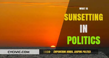 Understanding Sunsetting in Politics: A Comprehensive Guide to Its Impact