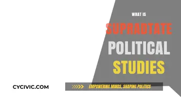 Exploring Supradate Political Studies: Concepts, Significance, and Modern Applications
