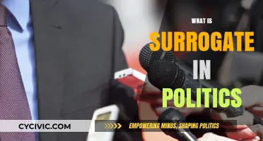 Understanding Surrogates: Political Stand-Ins and Their Strategic Roles Explained