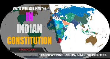 Suspended Animation: Understanding India's Constitution Preservation