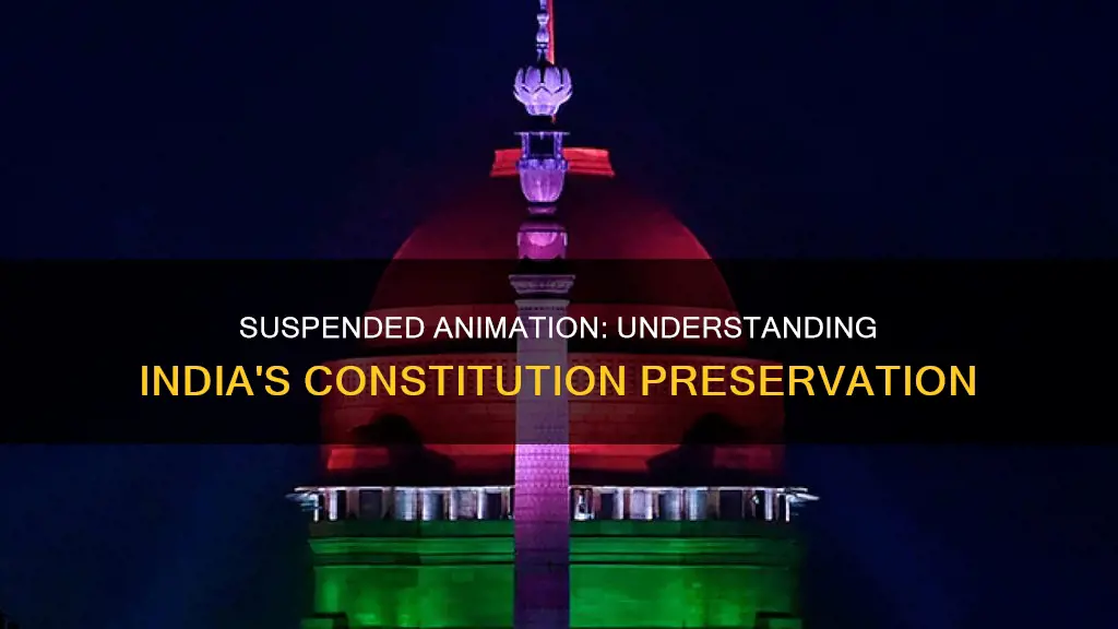 what is suspended animation in indian constitution