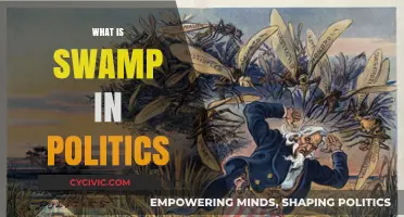 Understanding Political Swamps: Corruption, Gridlock, and Power Dynamics Explained