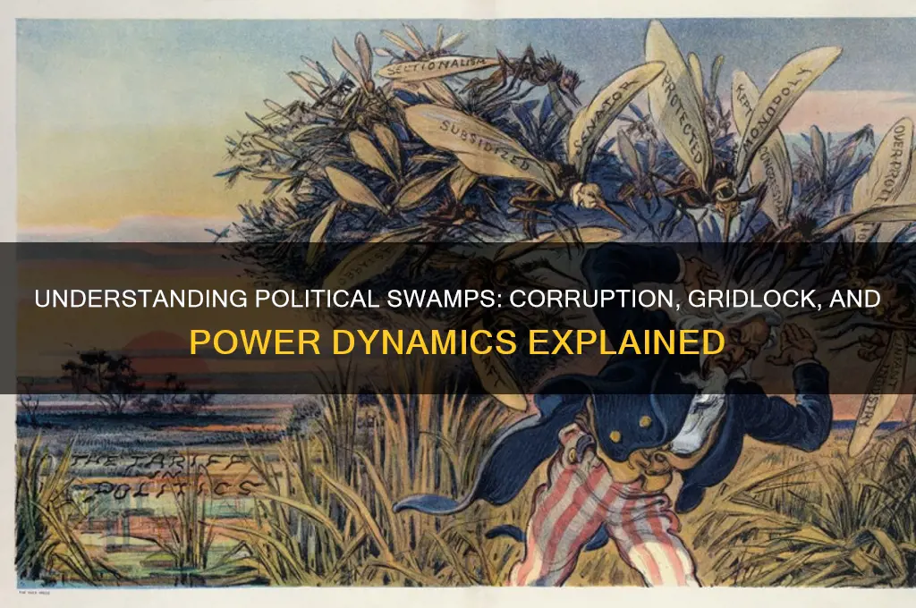 what is swamp in politics