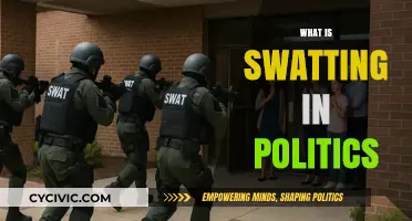 Swatting in Politics: Understanding the Dangerous Political Harassment Tactic