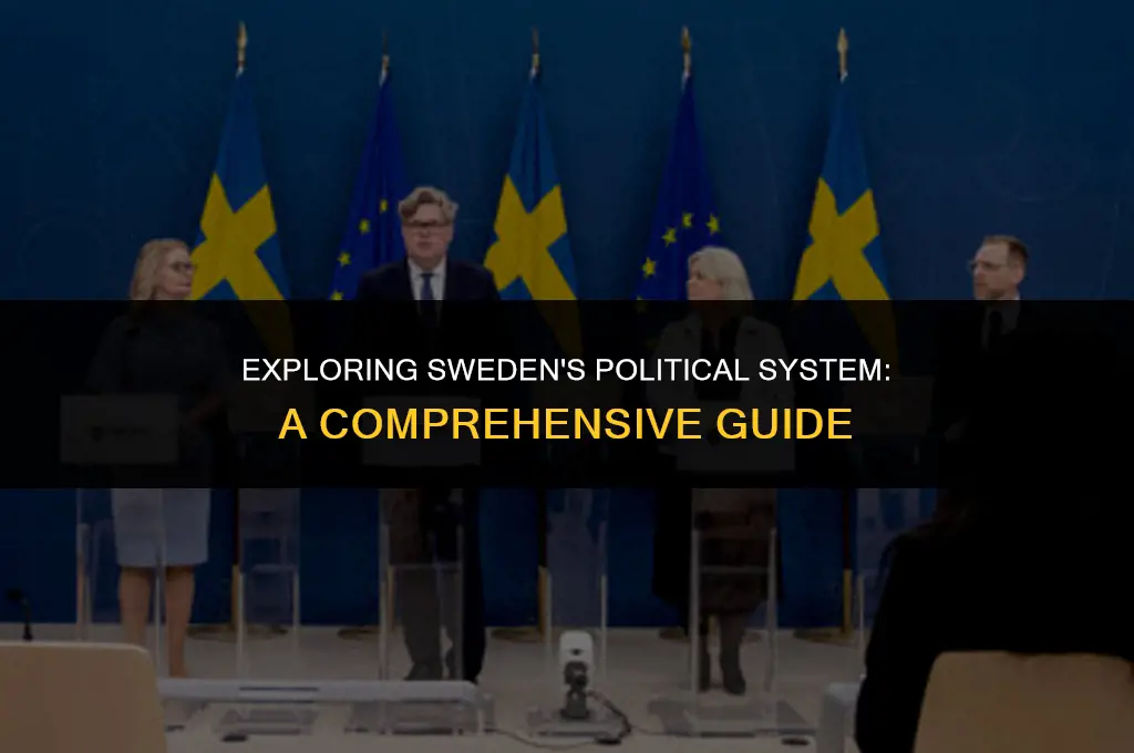 what is sweden political system
