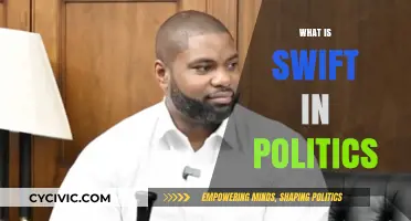 Swift Politics: Understanding Rapid Political Strategies and Their Impact