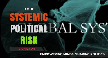Navigating the Complex Landscape of Systemic Political Risk
