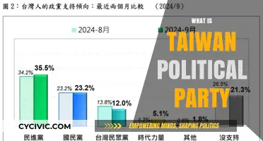 Understanding Taiwan's Political Parties: A Comprehensive Guide to Their Ideologies