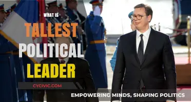 The World's Tallest Political Leaders: Height and Power Dynamics