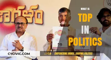 Understanding TDP: A Comprehensive Guide to Its Role in Politics