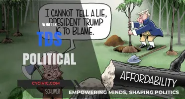 Understanding TDS Political: Origins, Meaning, and Cultural Impact Explained