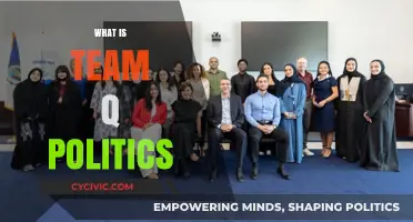 Understanding Team Q Politics: Origins, Impact, and Future Implications